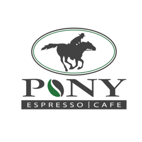 Coffee System Pony Professional espresso coffee POD machine, 1 group for 2  pods/cups (602530)